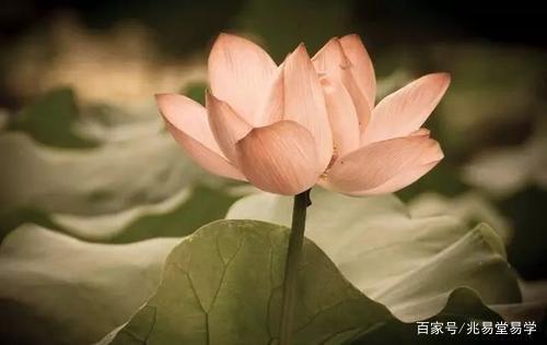 为什么不建议自己改手机号码,胡乱改号只会适得其反